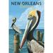 New Orleans LA Brown Pelicans (12x18 Wall Art Poster Room Decor)