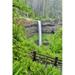 Silver Falls State Park Oregon. South Falls and trail leading to it Poster Print by Darrell Gulin