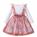 VerPetridure Toddler Girl Dresses Clearance Long Sleeve Casual Dresses for Girls Spring Autumn Toddler Baby Girl Flower Mesh Bowknot Long Sleeve Dress Princess Dress