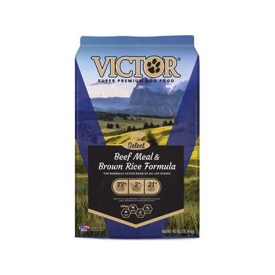 VICTOR Select Beef Meal & Brown Rice Dry Dog Food, 40-lb bag, bundle of 2