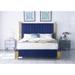 Everly Quinn Ashaureah Tufted Platform Bed Upholstered/Polyester in Blue | King | Wayfair BB21FCB67FB64ED8A80ABF029016075C