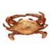 Tortoise Shell Crab Christmas Holiday Ornament 7 Inches - Green and Blue