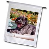 Schnauzer lying on fountain edge in rose garden MR and PR 12 x 18 inch Garden Flag fl-207520-1