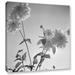 August Grove® 'Flowers at a Public Garden in Munich, Germany 1930s 2' Photographic Print on Wrapped Canvas in Black/White | 2 D in | Wayfair