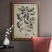 Gracie Oaks Embellished Antique Foliage V Premium Framed Canvas- Ready To Hang Canvas, Solid Wood in Black/Gray | 20 H x 16 W x 2.5 D in | Wayfair