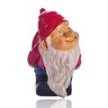 Red Barrel Studio® Garden Dwarf Sculpture Resin in Red/White | 4.33 H x 2.76 W x 2.76 D in | Wayfair B862984E16884A2E806D3735A1EE9863