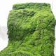 Aoisavch Artificial Moss Rocks Decorative, Artificial Grass Artificial Moss Fake Grass Rug Turf Grass for Floral Arrangements Gardens and Crafting Promotion (Color : Green, Size : C)