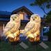 Aptoco Outdoor Solar Powered Resin Pathway Light Owl Solar LED Lights w/ Stake for Garden Yard Decor in White | 16.7 H x 6.1 W in | Wayfair