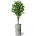 SIGNLEADER Artificial Tree In Modern Planter, Fake Ficus Tree Home Decoration (Plant Pot Plus Tree) Silk/Polyester/Plastic | 75 H in | Wayfair