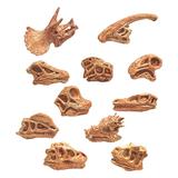 FUNNYFAIRYE 1 Set Fossil Toys for Early Childhood Education Cognition Dinosaur Skull High Simulation Aquarium Decor Plastic Fossil Teaching Skeleton Model