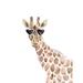 Trinx Giraffe w/ Heart Glasses Metal | 32 H x 24 W x 1.25 D in | Wayfair 1B5ECF36CEE94458B49C74985713B8E8