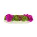 Primrue Orchid & Succulent Arrangement Polysilk in Pink/Indigo | 8 H x 22 W x 13 D in | Wayfair 3E9B6FC7355C44A9AA4CA3156E257207
