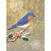 Wildon Home® Winter Birds Bluebird Color by Beth Grove - Wrapped Canvas Print Canvas in White | 48 H x 36 W x 1.25 D in | Wayfair