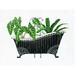 Bay Isle Home™ Black Bathtub Full of Plants - Wrapped Canvas Painting Canvas | 12 H x 16 W x 1.25 D in | Wayfair E4144029B4294D9DBF94B6266D31265E