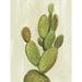 Foundry Select Front Yard Cactus I Crop by Silvia Vassileva - Wrapped Canvas Print Canvas | 16 H x 12 W x 1.25 D in | Wayfair