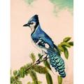 Wildon Home® Bluebird on Evergreen - Wrapped Canvas Print Canvas in White | 48 H x 36 W x 1.25 D in | Wayfair 213082C4F1784C01BF7E77B84B5683D1