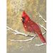 The Holiday Aisle® Winter Birds Cardinal Color by Beth Grove - Wrapped Canvas Print Canvas | 24 H x 18 W x 1.25 D in | Wayfair