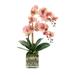 Primrue Orchid Floral Arrangement in Pot Polysilk, Glass | 24 H x 15 W x 15 D in | Wayfair 9736A516F4FB44348678DDE00F952A0C