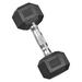 RELIFE REBUILD YOUR LIFE 45 lb Rubber Hex Dumbbell Hand Free Weight for Home Gym Fitness Single