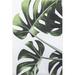Green/White 96 x 60 x 0.04 in Indoor/Outdoor Area Rug - Dovecove Hanni Leaves Indoor/Outdoor Machine Washable Area Rug Polyester | Wayfair