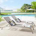 Modway Savannah Outdoor Patio Mesh Chaise Lounge Set of 2 in Gray