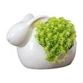 Lomubue Flower Pot Minimalistic Reusable Anti-deformation Stable Convenient Desktop Decor Ceramic Rabbit Shape Planter Pot Succulent Accessories