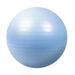 Keep Exercise Ball- Balance Yoga Balls for Working Out Excersize Birthing Ball for Pregnancy - Fitness Ball for Core Strength and Physical Therapyï¼Œsky blue sky blue 55cm F35398