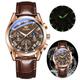 OLEVS Mens Watches Luxury Chronograph Waterproof Luminous Analog Quartz Classic Business Sports Watch Watch for Men (Brown)