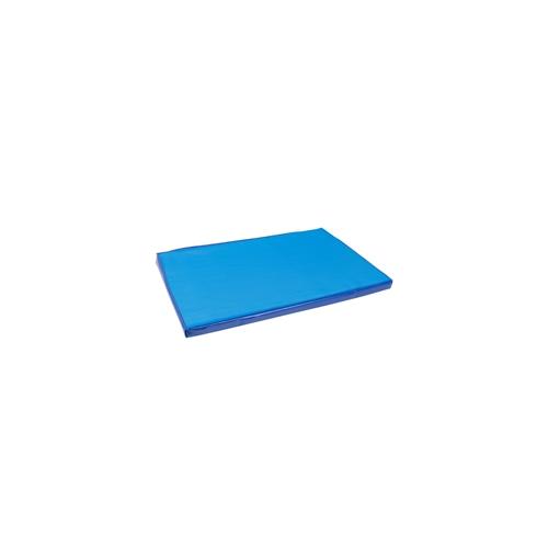 Desinfektionsmatte für Stalleingänge – Stall Seuchenschutz Desinfektion, 90x60cm, blau