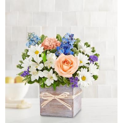 1-800-Flowers Flower Delivery Coastal Breeze Small