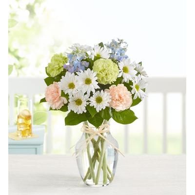 1-800-Flowers Seasonal Gift Delivery Summer Dunes Small