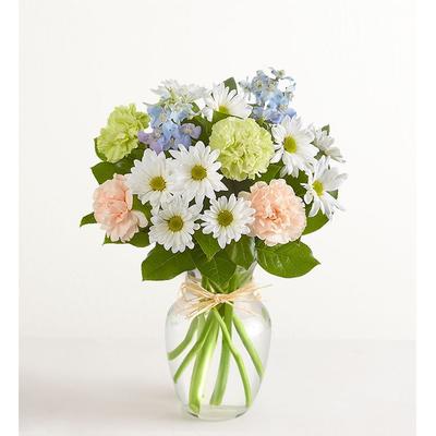 1-800-Flowers Seasonal Gift Delivery Summer Dunes Small