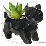 Primrue 2 - Piece Artificial Succulent Succulent in Pot Set Ceramic/Plastic | 4 H x 2.5 W x 5 D in | Wayfair 81B90E2AF34E4587897D6835DD3A4DA5