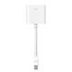 Apple Mini DisplayPort to DVI Adapter