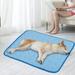 SHCKE Summer Mat Breathable Pet Pad Hot Weather Sleeping Kennel Mat Sleep Mat Pad Breathable Sleep Bed Mat Machine Washable Easy Carry