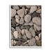 Various Beach Pebbles Composition Coastal Photograph White Framed Art Print Wall Art