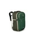 Osprey Daylite Carry-On Travel Pack 44 Reisetasche, unisex Green Canopy/Green Creek O/S