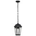 Nuvo Lighting 60127 - 1 Lamp 14.5" 120 volt Matte Black Clear Water Glass Outdoor Hanging Lantern Fixture (EAST RIVER 1LT OUTDOOR HANGING BLK (60-5944))