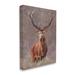 Stupell Industries Elk Portrait Forest Grove by Pip Wilson - Wrapped Canvas Graphic Art Metal in Brown/Green/Pink | 40 H x 30 W x 1.5 D in | Wayfair