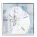 Stupell Industries Pastel Blue Sand Dollar Seashell by Nina Blue - Floater Frame Graphic Art on in Blue/Brown/Gray | 12 H x 12 W x 1.5 D in | Wayfair