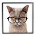 Stupell Industries Cat Face Hipster Glasses Black Framed Giclee Art By Karen Smith Wood in Brown | 12 H x 12 W x 1.5 D in | Wayfair au-258_fr_12x12