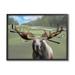 Stupell Industries Funny Golf Clubs Moose Antlers Gray Framed Giclee Art By Elizabeth Medley Wood in Brown/Green | 11 H x 14 W x 1.5 D in | Wayfair