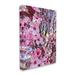 Stupell Industries Spring Cherry Blossom Tree Nature Floater Canvas Wall Art By Heidi Bannon Canvas in Pink/Red | 20 H x 16 W x 1.5 D in | Wayfair