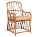 Woodard Cane Patio Dining Armchair w/ Cushion in Brown | 36.25 H x 21.31 W x 24.88 D in | Wayfair S650510-CAN-06N