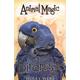 Birdmagic - Holly Webb - Paperback - Used