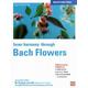 Inner harmony through Bach flowers - Sigrid Schmidt - Paperback - Used