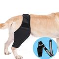 Ofocase Dog Knee Brace Dog Leg Brace for Torn acl Hind Leg Dog Hip Brace Adjustable Rear Leg Braces-M