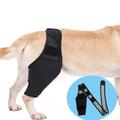 Ofocase Dog Knee Brace Dog Leg Brace for Torn acl Hind Leg Dog Hip Brace Adjustable Rear Leg Braces-S