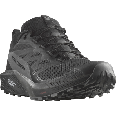 Trailrunningschuh SALOMON "SENSE RIDE 5 GORE-TEX", Gr. 41, schwarz (schwarz, grau), Textil, Synthetik, sportlich, Schuhe