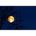 Ebern Designs Full Moon by Chayanan - Wrapped Canvas Photograph Canvas in Blue/Yellow | 8 H x 12 W x 1.25 D in | Wayfair